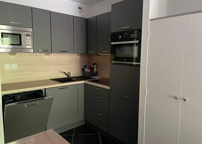 A Gourette Avec Animaux Acceptes Pour 4 Pers, Terrasse Et Piscine - Fr-1-860-45 *